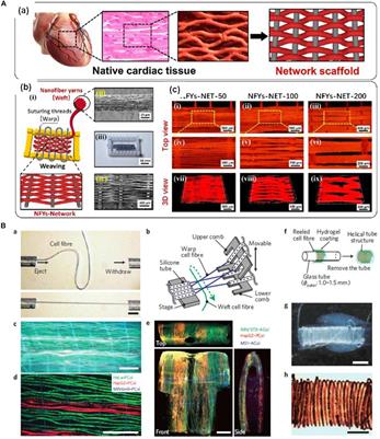 Frontiers | Tissue Engineering and Regenerative Medicine 
